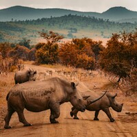 تور آفریقای جنوبی