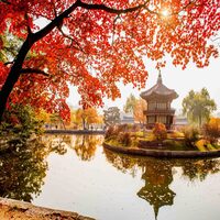تور کره جنوبی + ژاپن