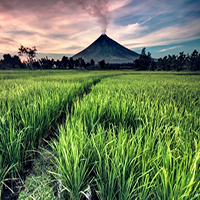 فیلیپین زیبا و دیدنی | Philippines beautiful & Visual