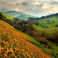 تور تفلیس+باتومی | 30 تیر