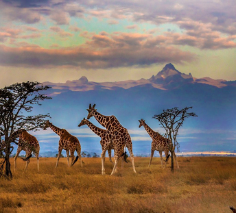 تور کنیا ویژه نوروز