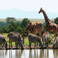 تور کنیا ویژه نوروز