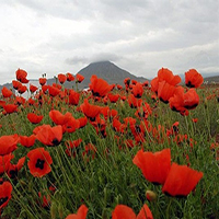 ده جاذبه بکر گردشگری ایران 