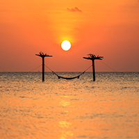 لحظه هایی ناب از غروب آفریقا |  Pure moment of sunset Africa